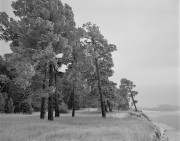 Scan-190123-0001-1w.jpg