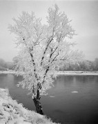 Scan-190126-0001-1w.jpg