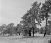 Scan-190126-0003-3w.jpg