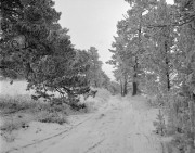 Scan-190126-0005-3w.jpg