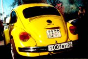 a_beetle.jpg a_beetle.jpg