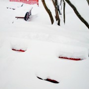 red02_850.jpg