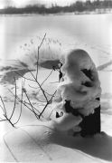 Scan_4.jpg