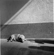Untitled_099_.jpg