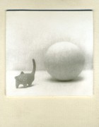 cat_sphere001_.jpg