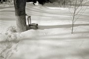 L1019465_.jpg