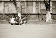 L1020585_.jpg