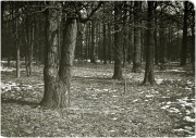 L1029946.jpg