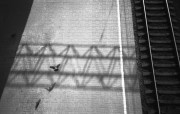 20120802_001.jpg