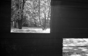 20120812_021.jpg