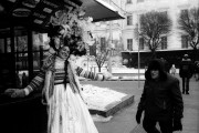 IMG8426web.jpg