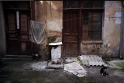 Untitled-218.jpg