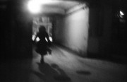IMG009551web.jpg