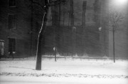 IMG013452web.jpg