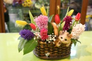 IMG_3158_w.jpg