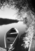 Scan-160807-0001.jpg