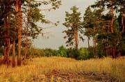 r004-005_.jpg