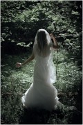 IMG776_S.jpg