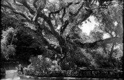 Scan-120306-0013.jpg