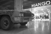 img0427.jpg img0427.jpg