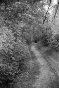 Scan-170908-0007_.jpg