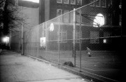 IMG262web.jpg
