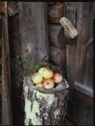 1729.jpg 1729.jpg