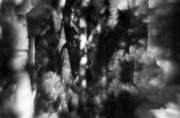 L-2015-BW-3-km400-032.jpg