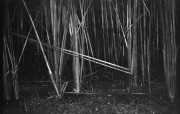 13-L-bw2-008.jpg