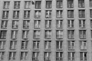 NIKON_F80_ILFORD_PAN_100_Ex_at_400_RDN-LQ_1-50_20_min_05_2018_12.jpeg