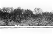 573235-E_RT_1300.jpg 573235-E_RT_1300.jpg