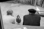 319_1960-_5_.jpg