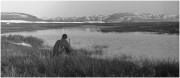 IMG480Size.jpg