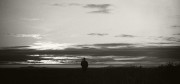 V001_1982_.jpg