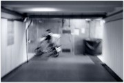 03135.JPG 03135.JPG