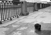 07072012_FP4_11_WEB.jpg