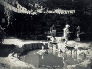 0850.JPG 0850.JPG