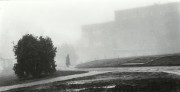 14110.jpg