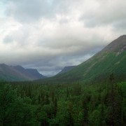 160sScan-180131-0005_copy.jpg