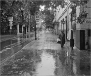 16207.jpg 16207.jpg