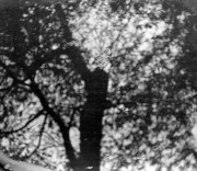 17109.jpg 17109.jpg