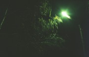18A_00016.jpg