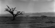 20150704_115523.png