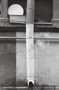 2181731.jpg 2181731.jpg