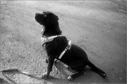 2411_Y35ME_Foma400_0007_web.jpg