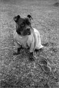 2411_Y35ME_Foma400_0013_web.jpg