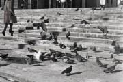 30_00023.jpg