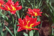 32_00034.jpg