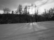 3644-051.jpg