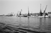 380029.jpg